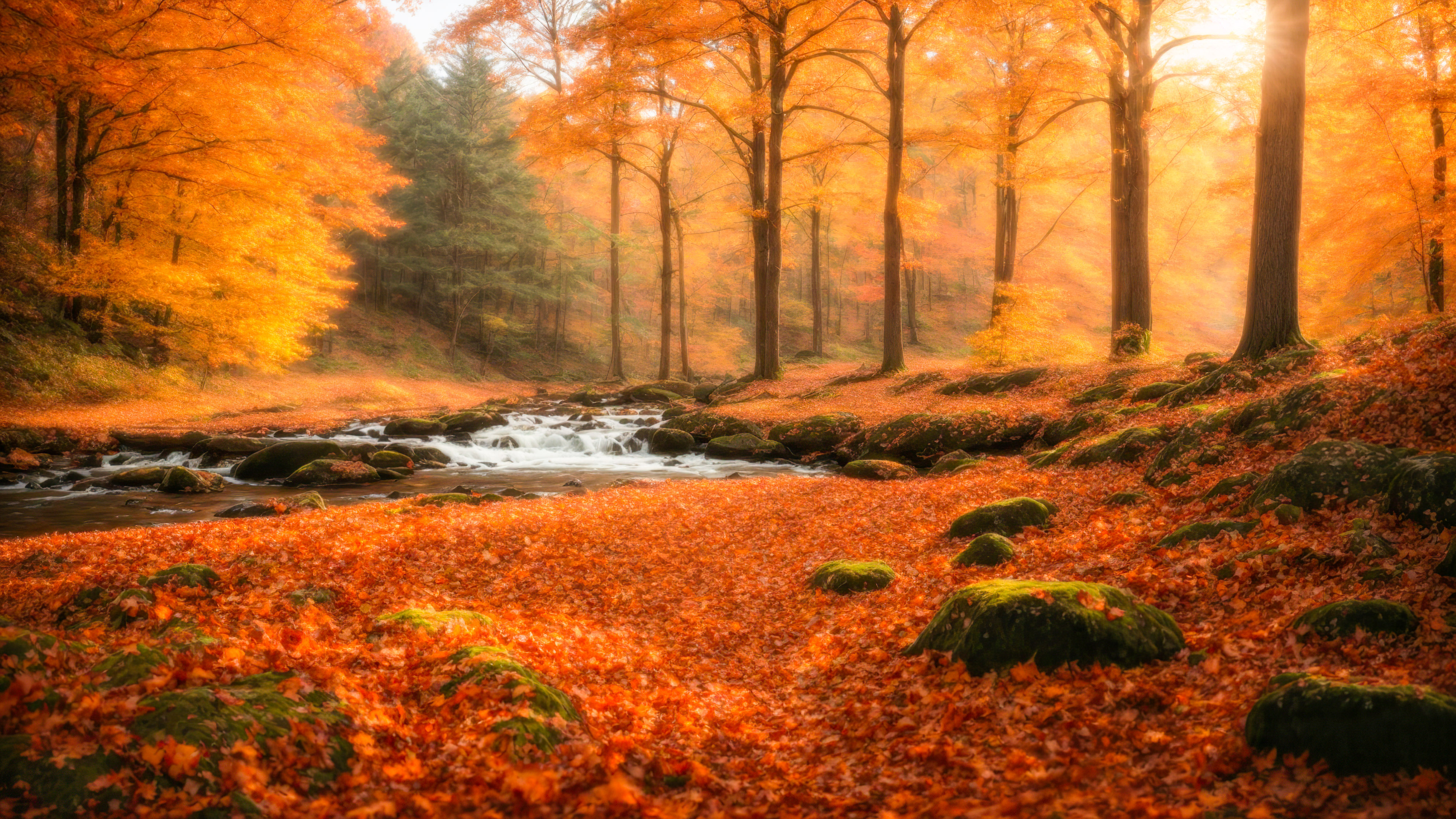Laissez-vous hypnotiser par notre beau fond d'écran nature en HD, mettant en scène une scène de forêt tranquille avec un ruisseau sinueux, entouré d'un feuillage d'automne vibrant, et laissez votre écran devenir une fenêtre sur le cœur de la forêt.