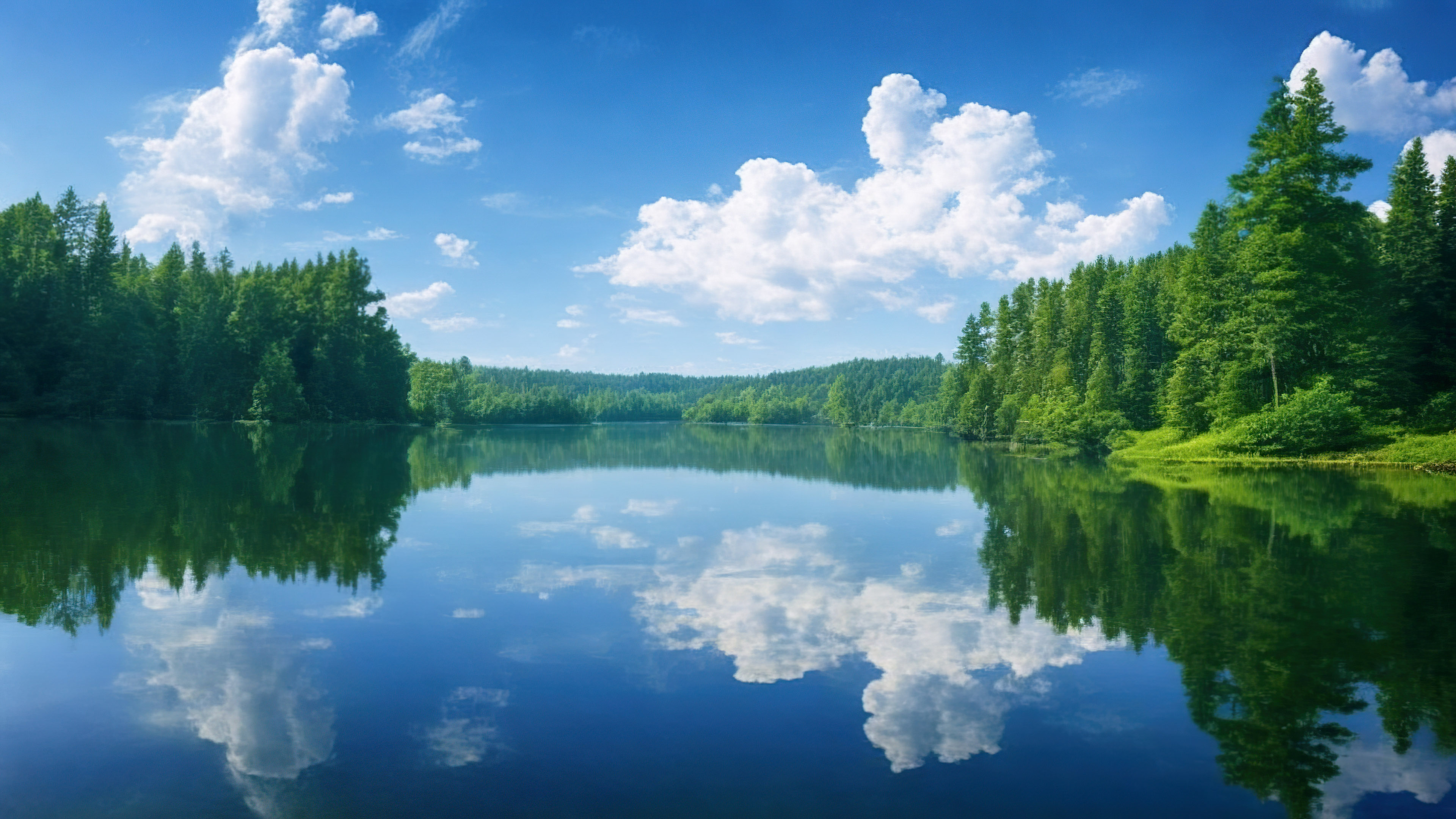 Capturez la sérénité d'un lac paisible reflétant un ciel parsemé de nuages, entouré de forêts verdoyantes avec notre fond d'écran d'arbre en 4K.