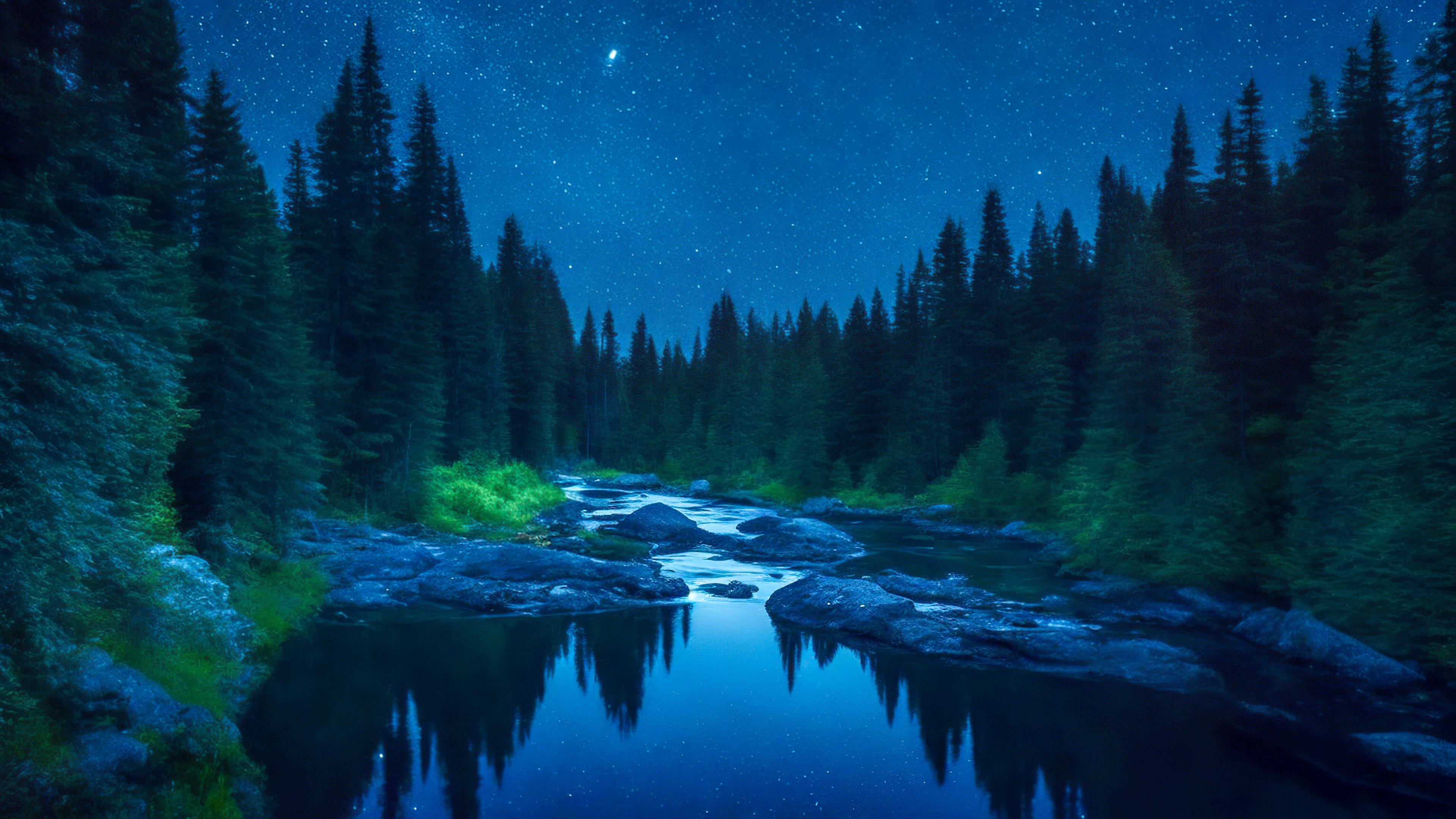 Laissez-vous hypnotiser par notre fond d'écran de paysage forestier, mettant en scène une rivière paisible serpentant à travers une forêt dense, reflétant le ciel nocturne scintillant.
