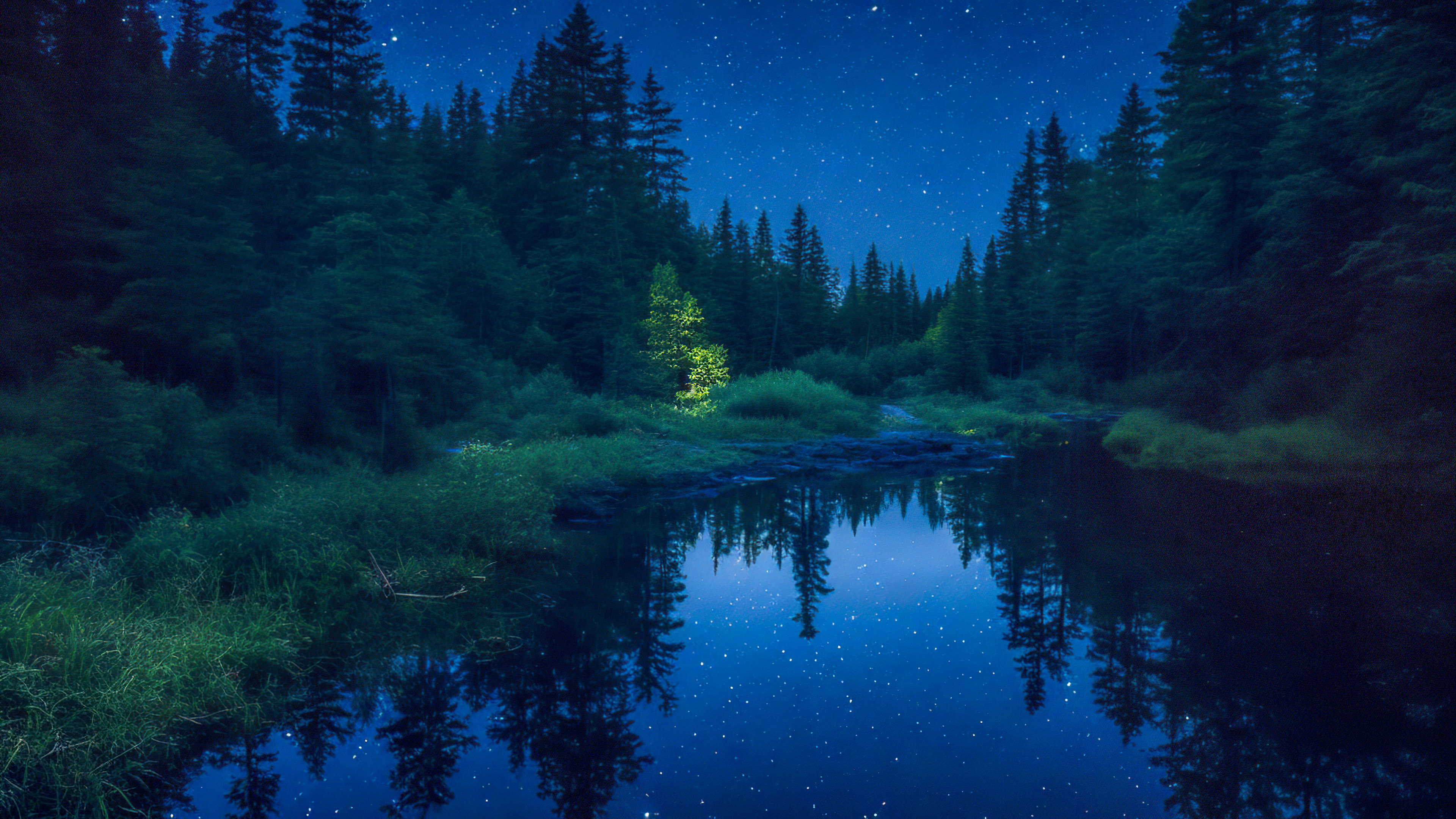 Vivez la tranquillité de notre beau fond d'écran de nuit, présentant une rivière paisible serpentant à travers une forêt dense, reflétant le ciel nocturne étincelant.