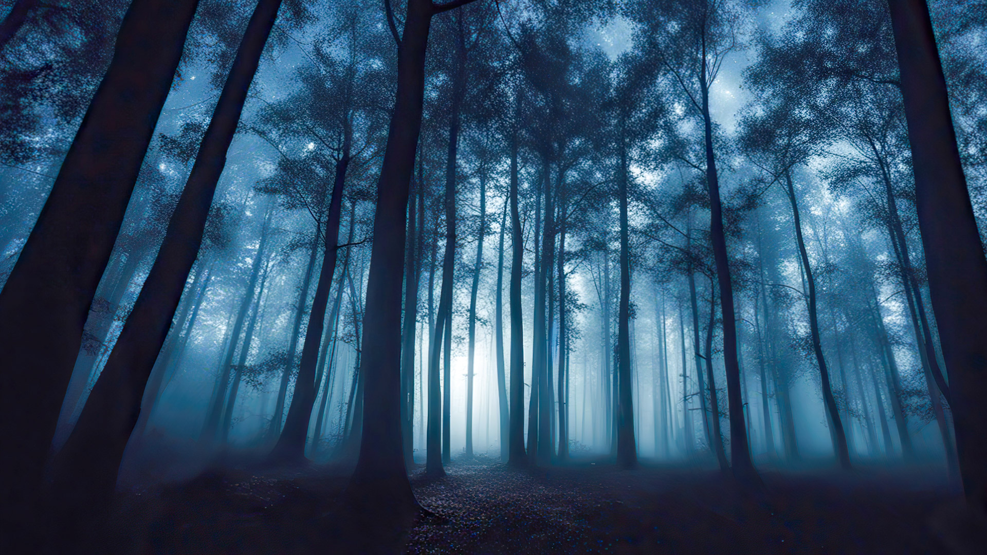 Perdez-vous dans le mystère de notre fond d'écran nature HD pour bureau, plein écran et 1080p de beaux paysages, illustrant une forêt mystérieuse la nuit, où la lumière de la lune filtre à travers les arbres, créant une atmosphère envoûtante et étrange.