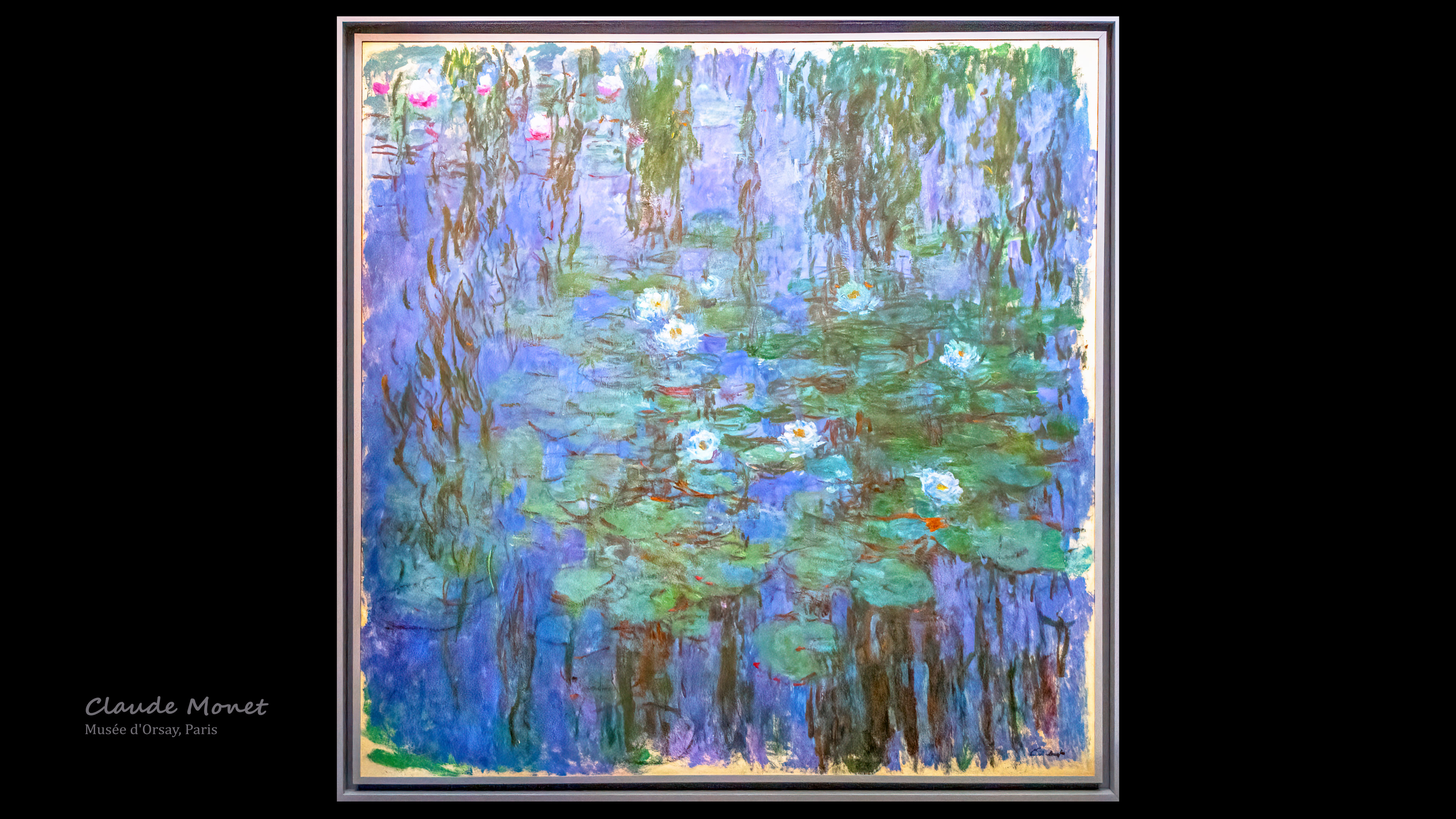 Enjoy the contrast and variety of ‘Water Lilies’ Monet painting wallpaper, featuring the different and colorful perspectives flowers on the water.