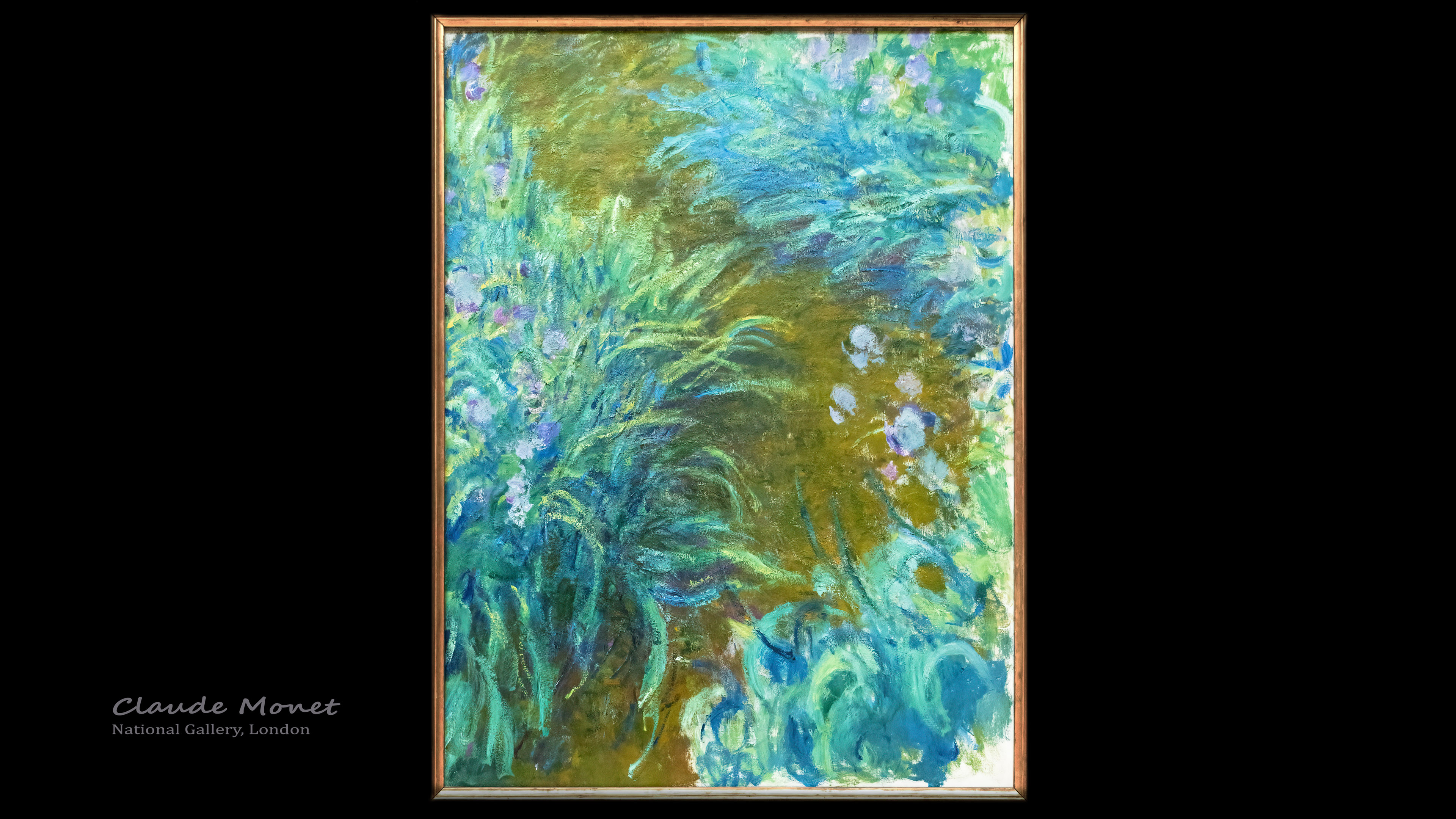 Delight in the vivid colors of Irises, where Monet's desktop wallpaper portrays the essence of these elegant and vibrant flowers.