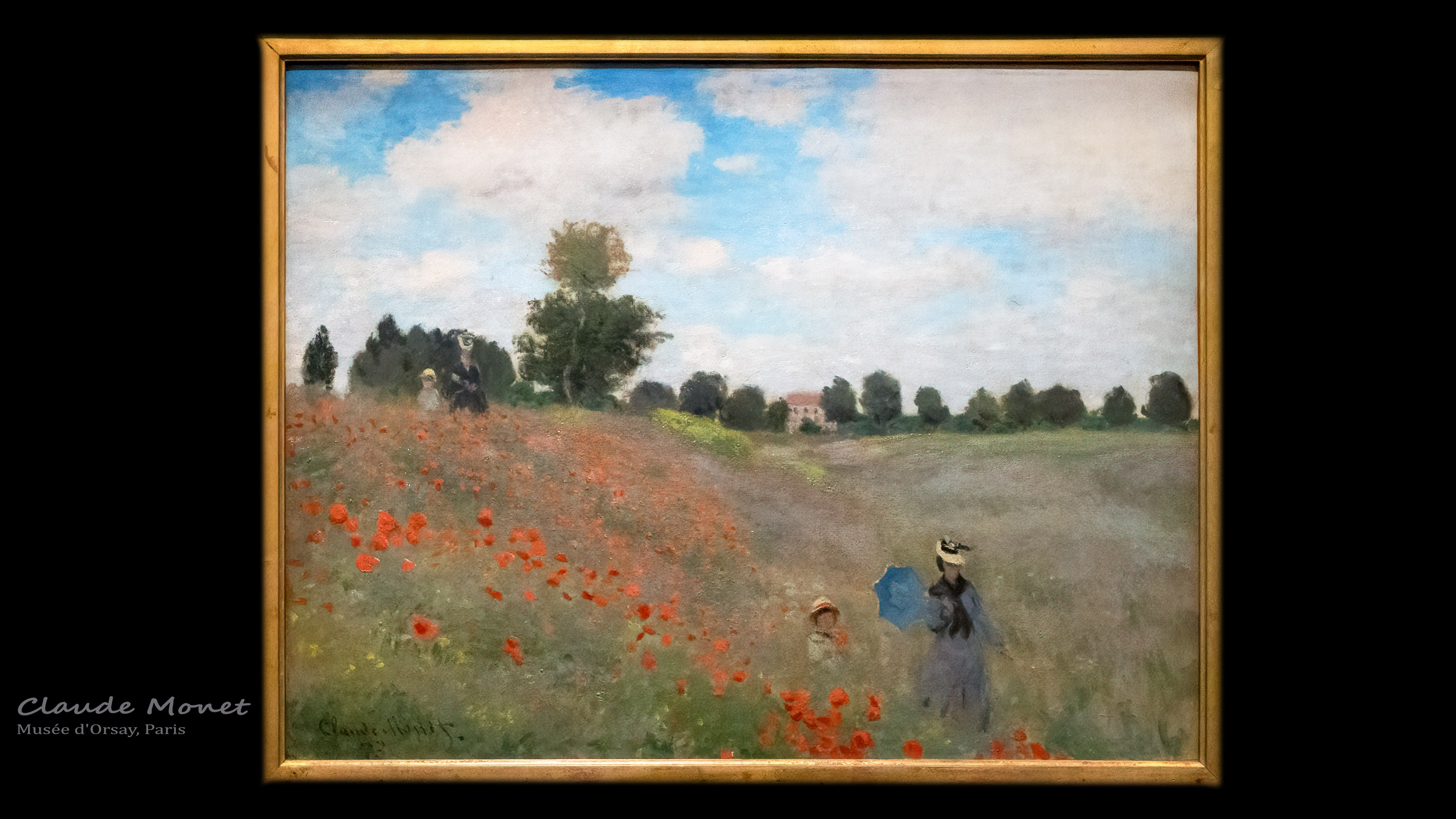 Feel the vibrant hues of Wild Poppies, near Argenteuil, as Monet's HD wallpaper captures the lively beauty of a poppy-filled landscape.