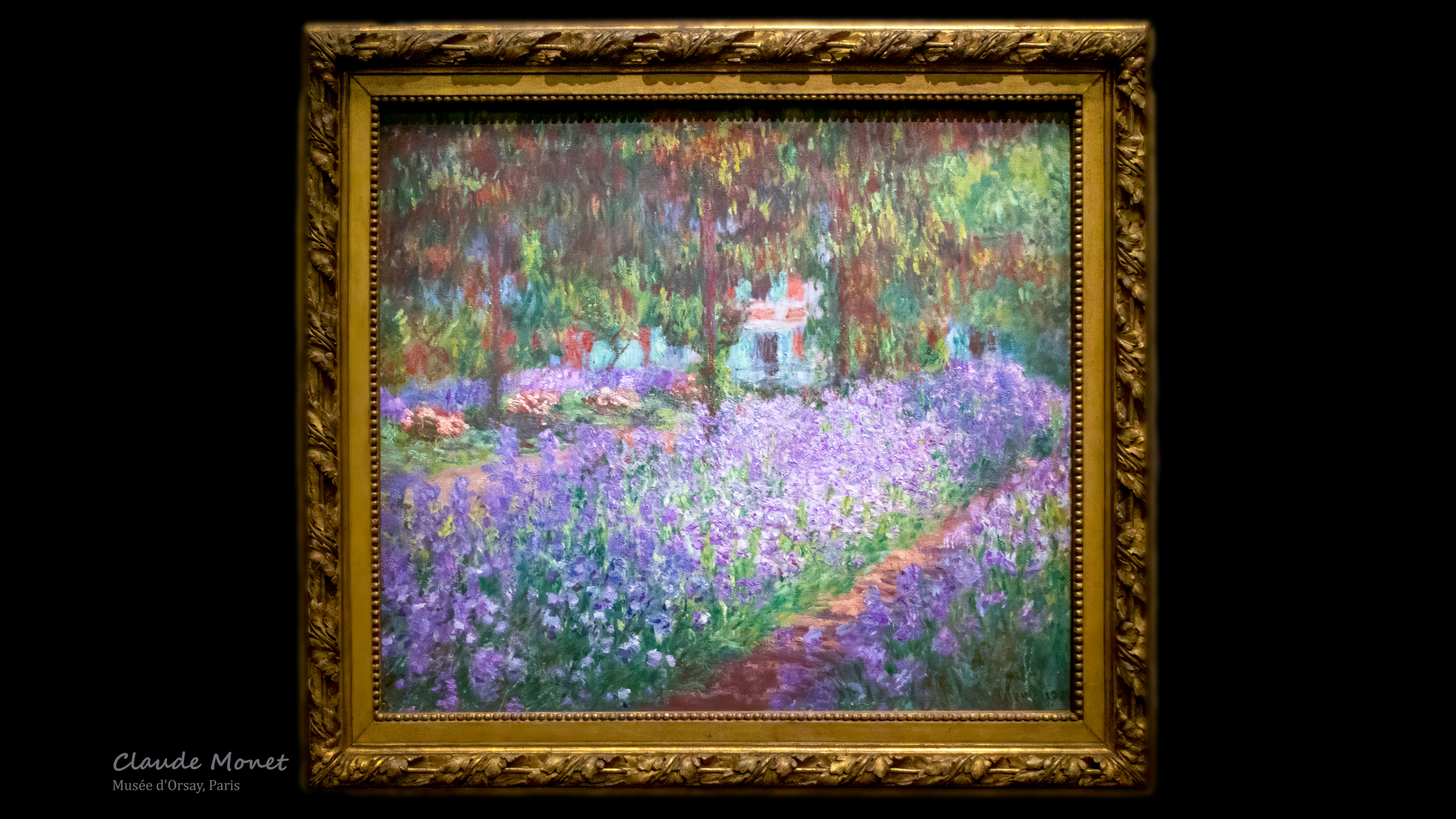 Capture the essence of nature with the painting wallpaper 'The Artist's Garden at Giverny' by Claude Monet.