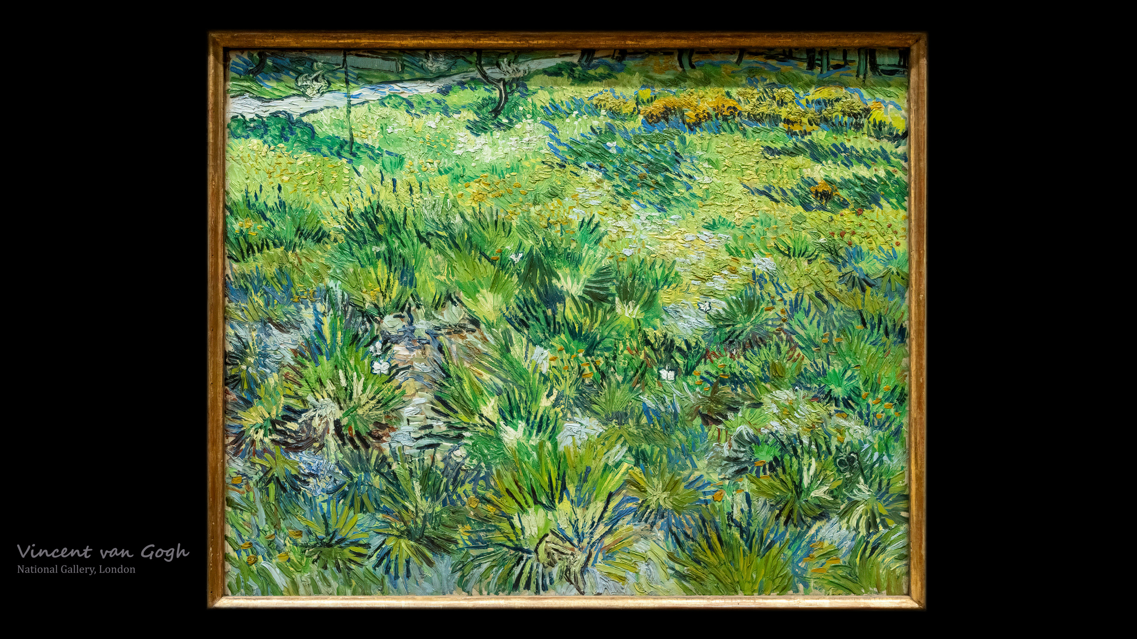 Bring the joy and vibrancy of spring to your screen with Meadow with Butterflies wallpaper, featuring the colorful and lively scene of a meadow full of flowers and butterflies that Van Gogh painted in 1889.