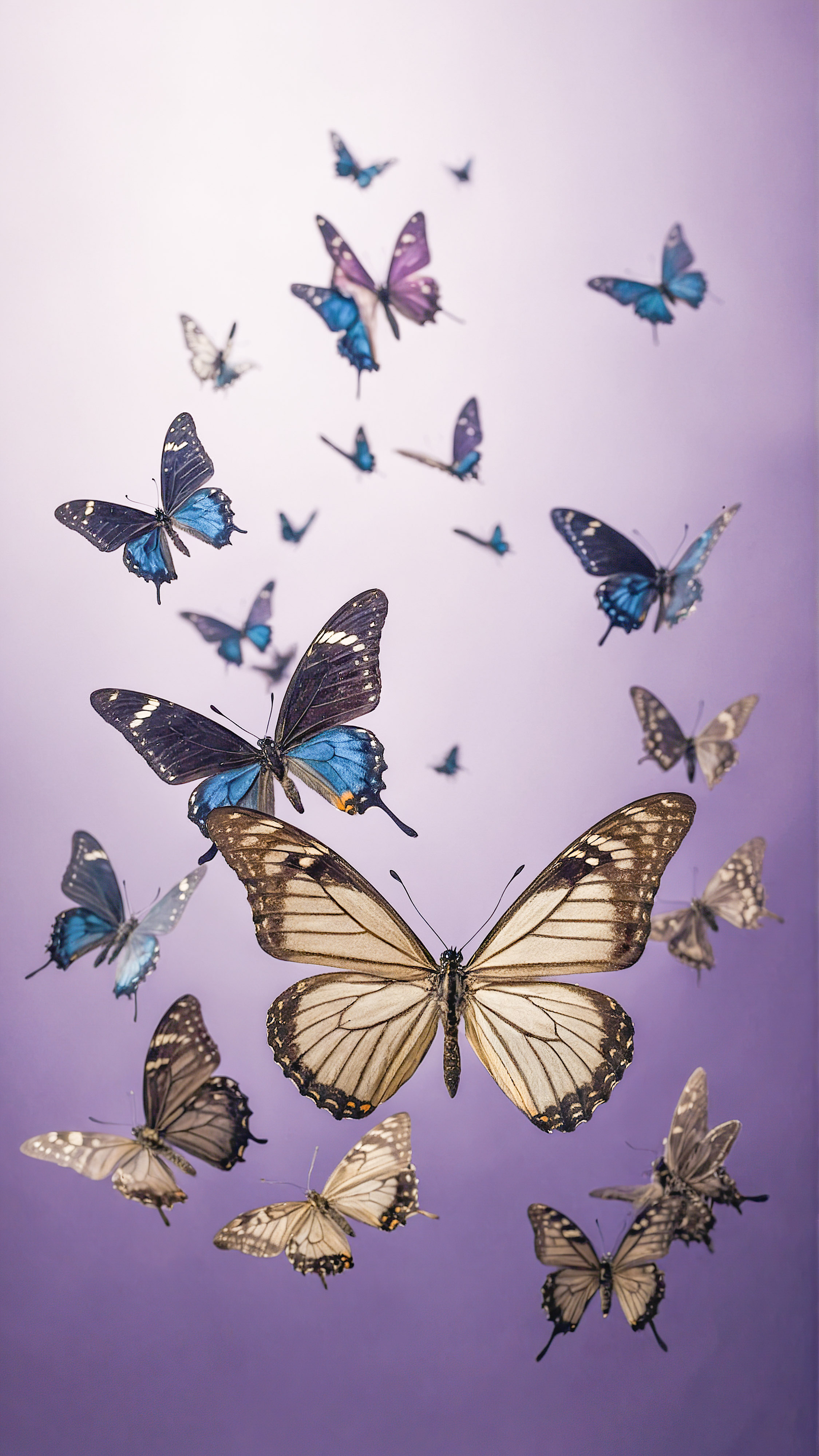 Vivez le calme apaisant avec nos fonds d'écran esthétiques mignons pour iPhone, présentant de petits papillons noirs volant contre un fond violet doux.
