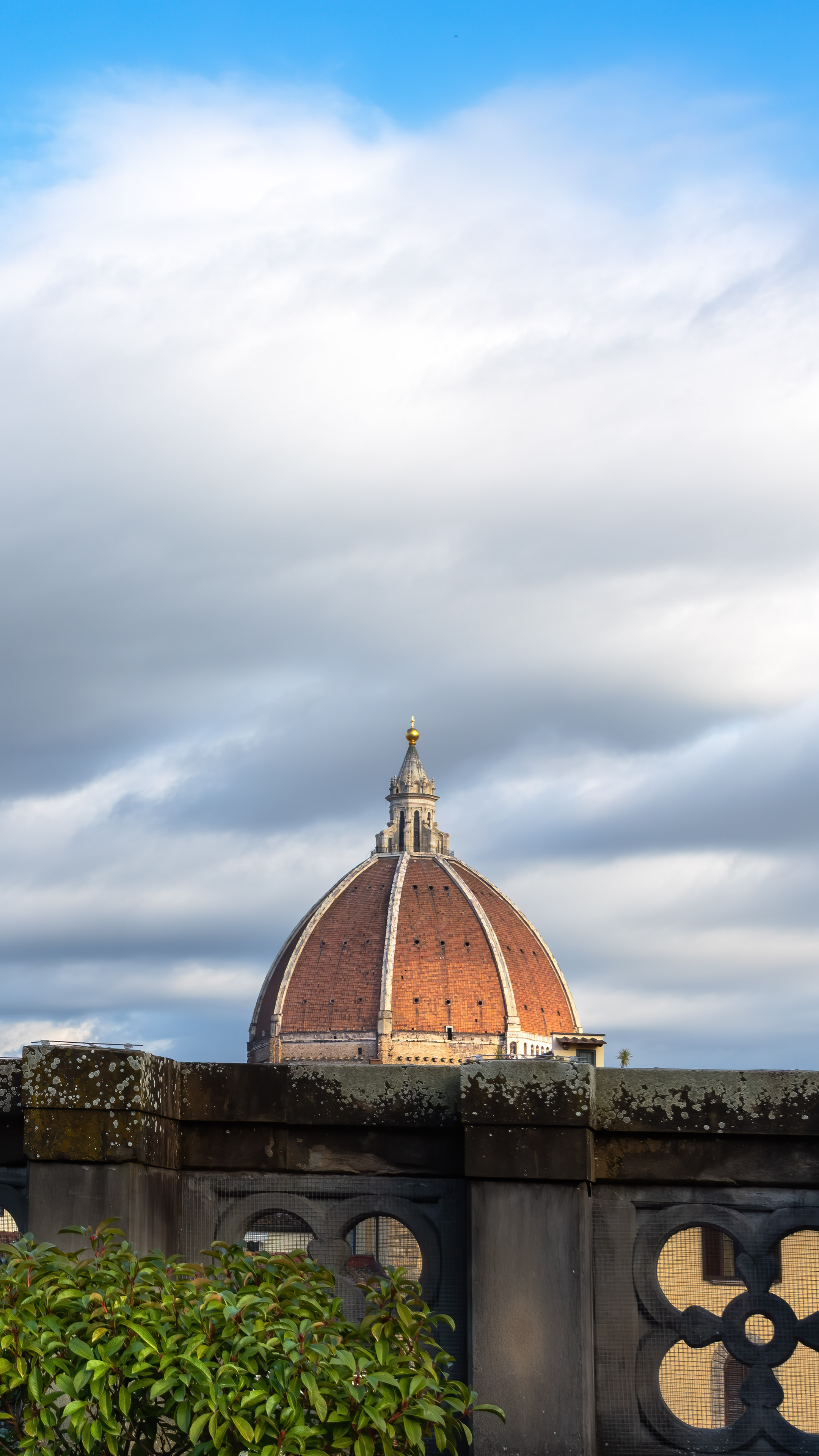 Discover the beauty of Florence with this stunning city wallpaper for your iPhone. This wallpaper captures the essence of Florence's architecture and culture, and is perfect for anyone who loves this Italian gem.