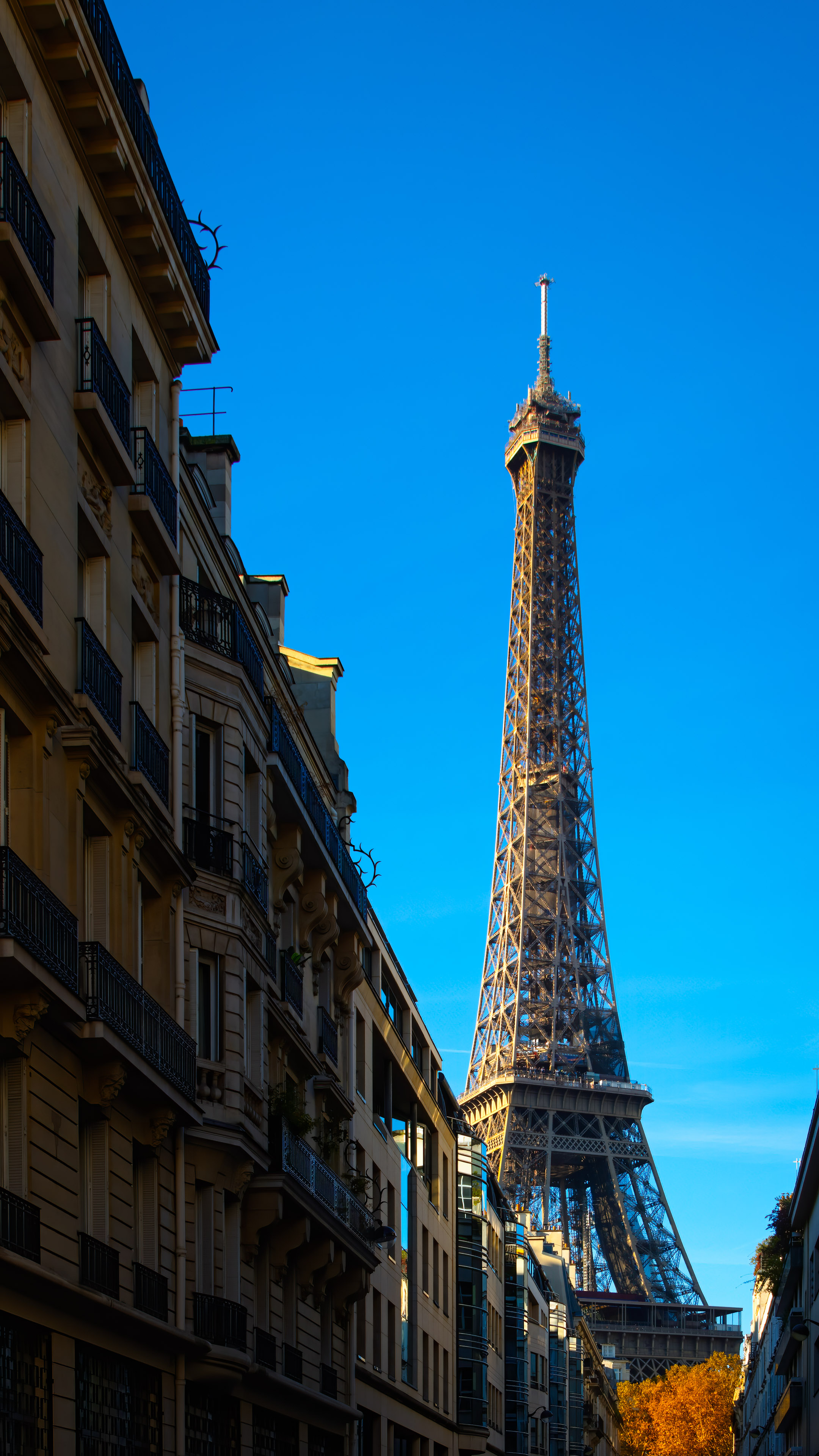 Travel to the heart of France with our phone wallpaper featuring the iconic Eiffel Tower in Paris, a symbol of elegance and romance.