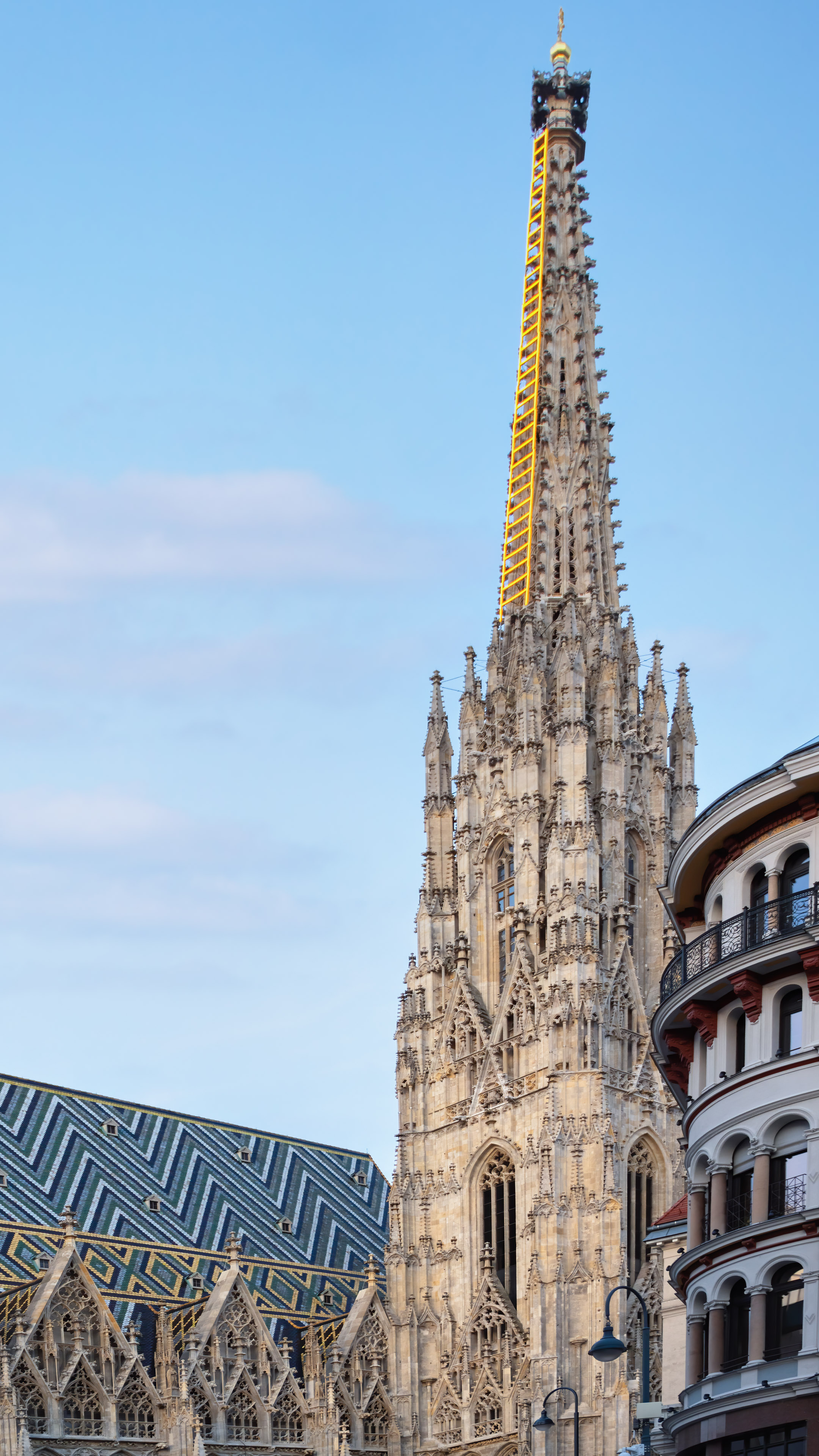 Bring the beauty of Vienna to your phone with this high-quality wallpaper.