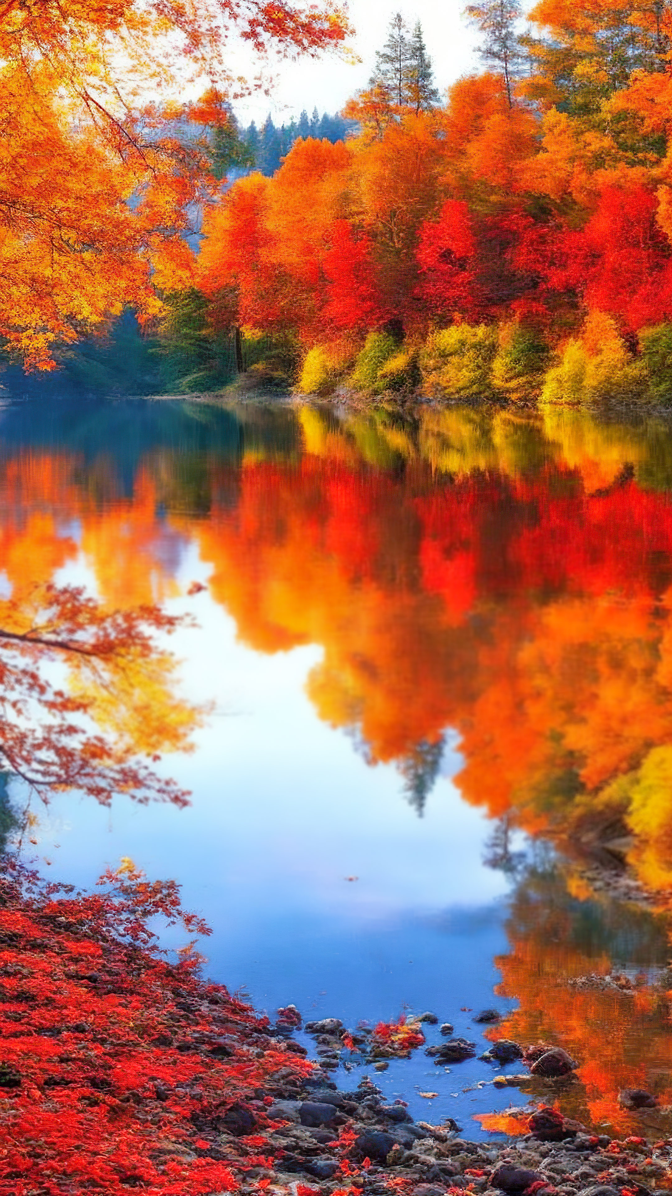 Ornez votre iPhone avec un fond d’écran de paysage en HD, présentant un lac tranquille entouré d’un feuillage d’automne vibrant, reflété dans l’eau claire et immobile.