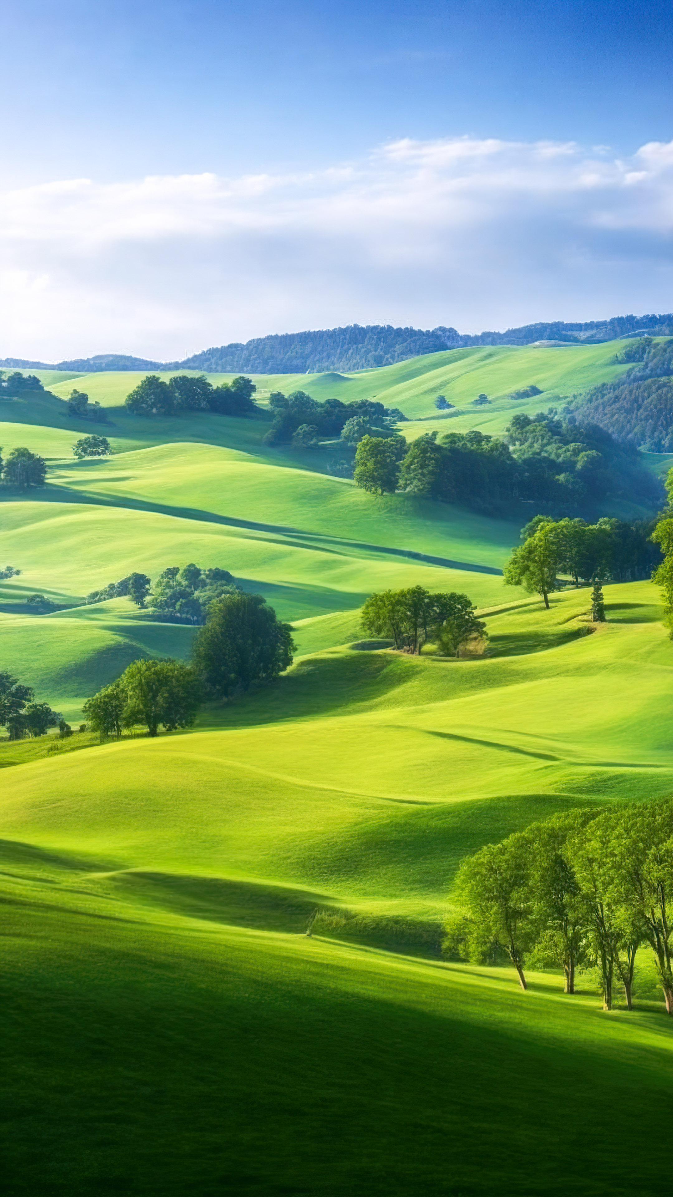Savourez la tranquillité de notre fond d'écran HD de paysages, présentant une scène paisible de la campagne avec des collines ondulantes, des pâturages verts et un ciel clair.