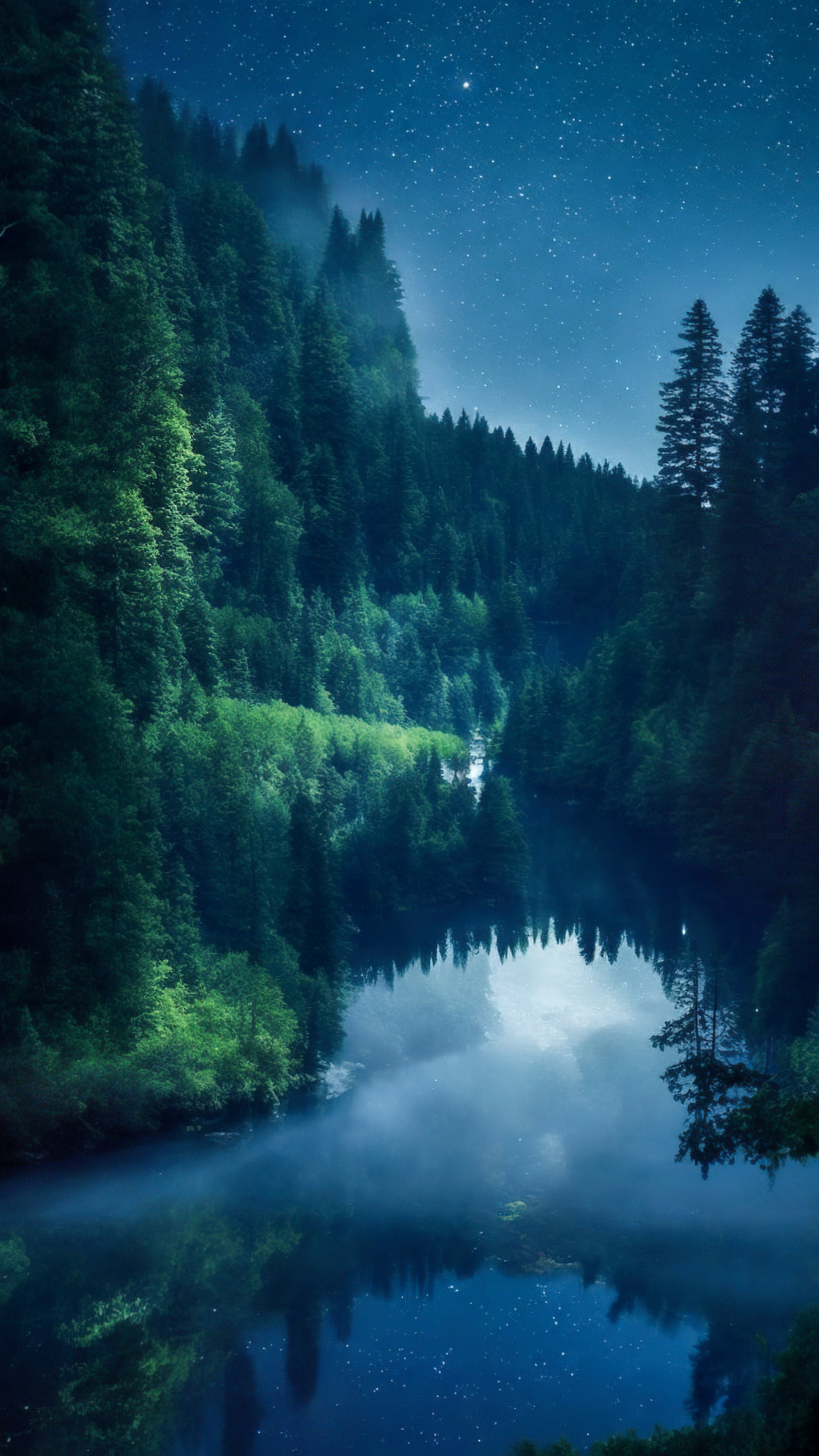Notre fond d'écran de paysages en 4K vous transporte vers une rivière paisible serpentant à travers une forêt dense, sous un ciel nocturne scintillant.