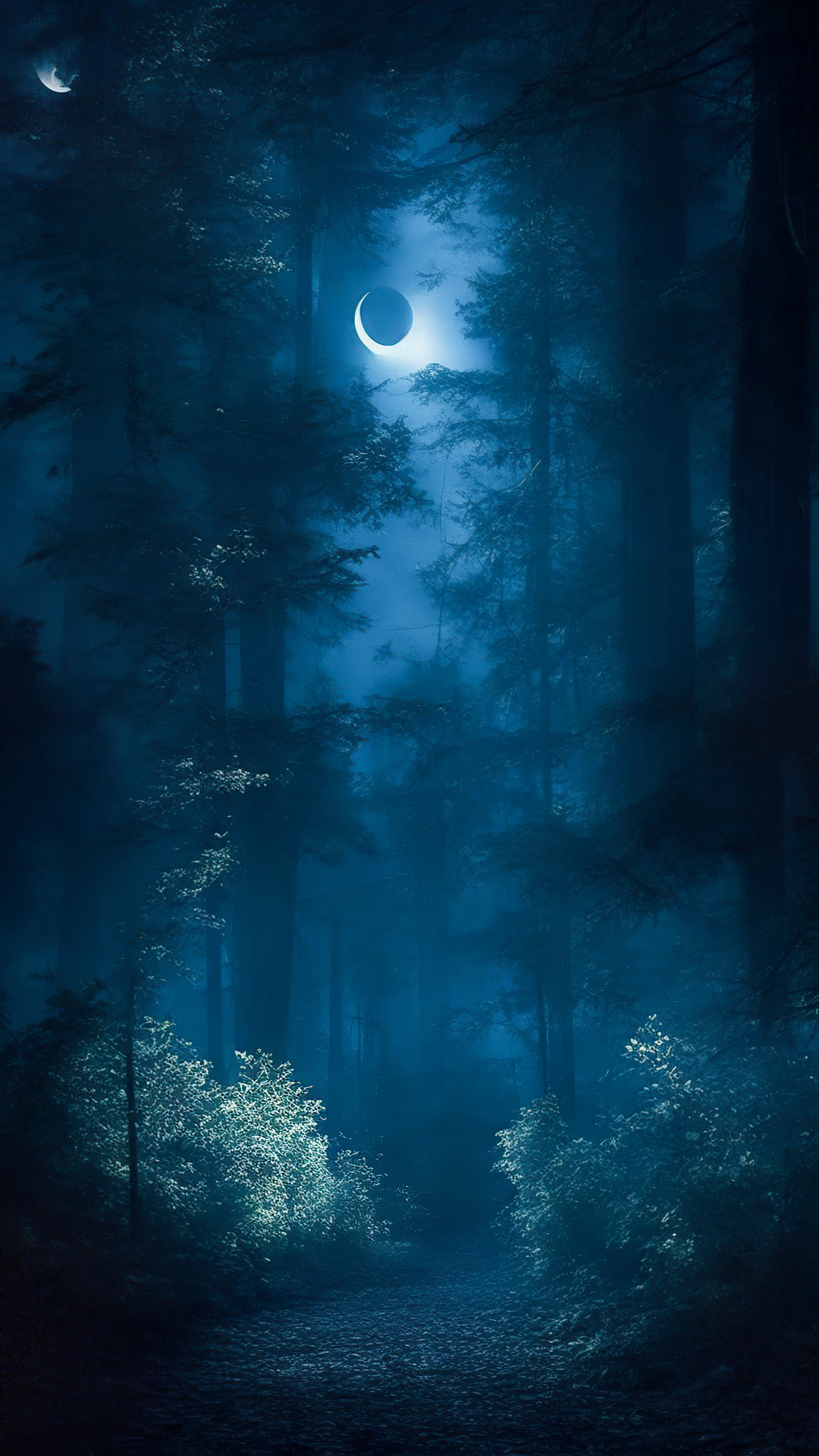 Admirez l'élégance de nos magnifiques images de fond d'écran nature, mettant en scène une forêt mystérieuse la nuit, où la lumière de la lune filtre à travers les arbres, créant une atmosphère envoûtante et étrange.