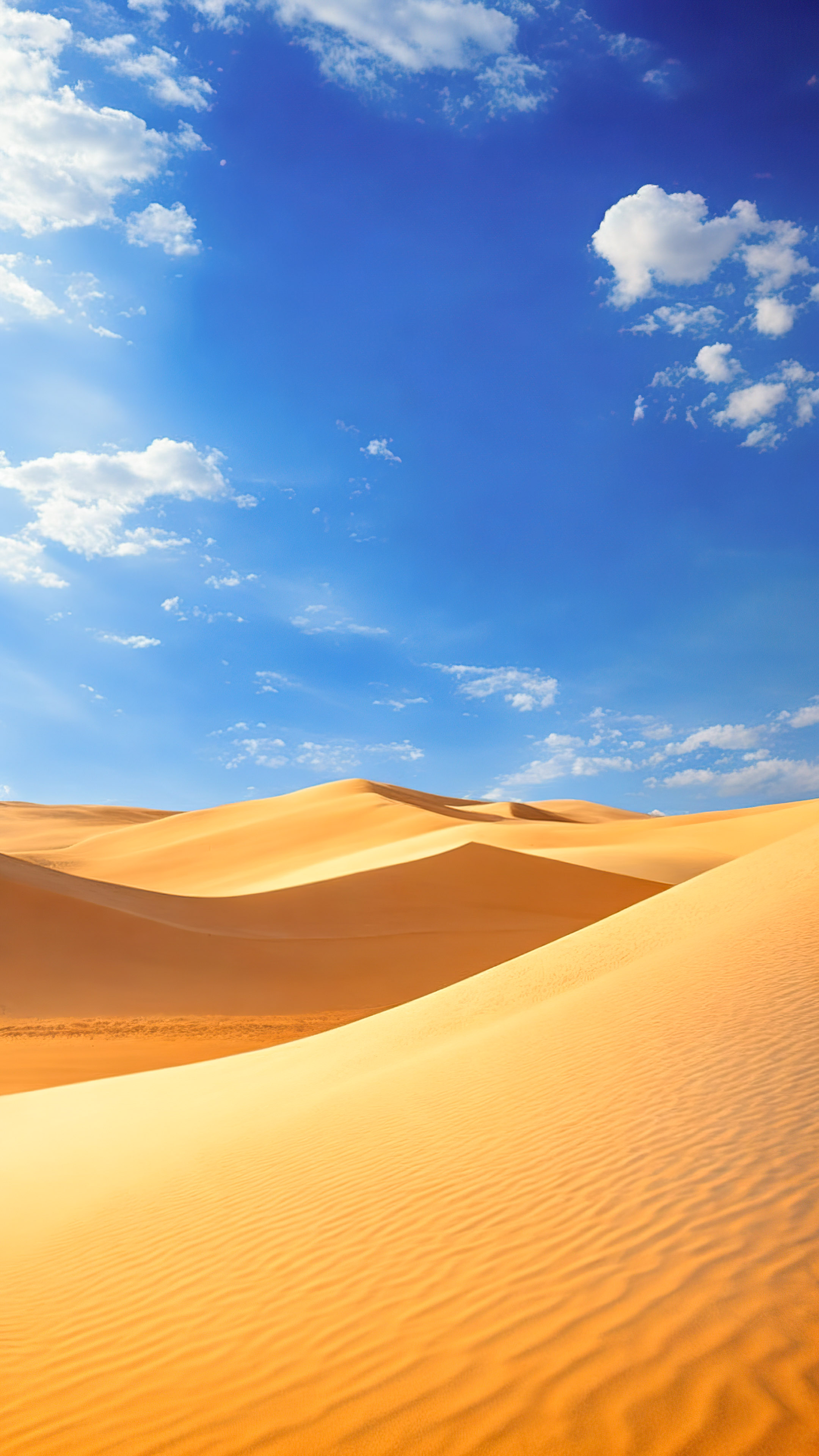 Profitez de la tranquillité d'un paysage désertique serein avec des dunes de sable s'étendant jusqu'à l'horizon sous un vaste ciel bleu, avec notre fond d'écran de ciel ensoleillé.