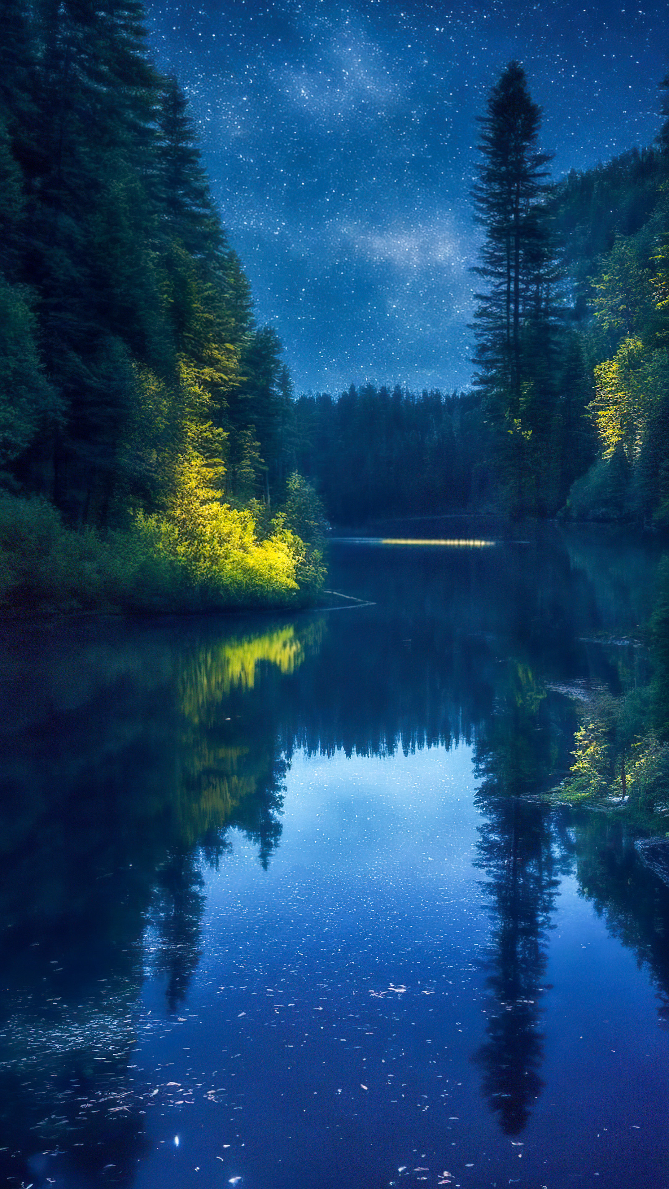 Perdez-vous dans la sérénité avec notre fond d'écran pour mobile, présentant une rivière paisible serpentant à travers une forêt dense la nuit, reflétant le ciel nocturne étincelant.