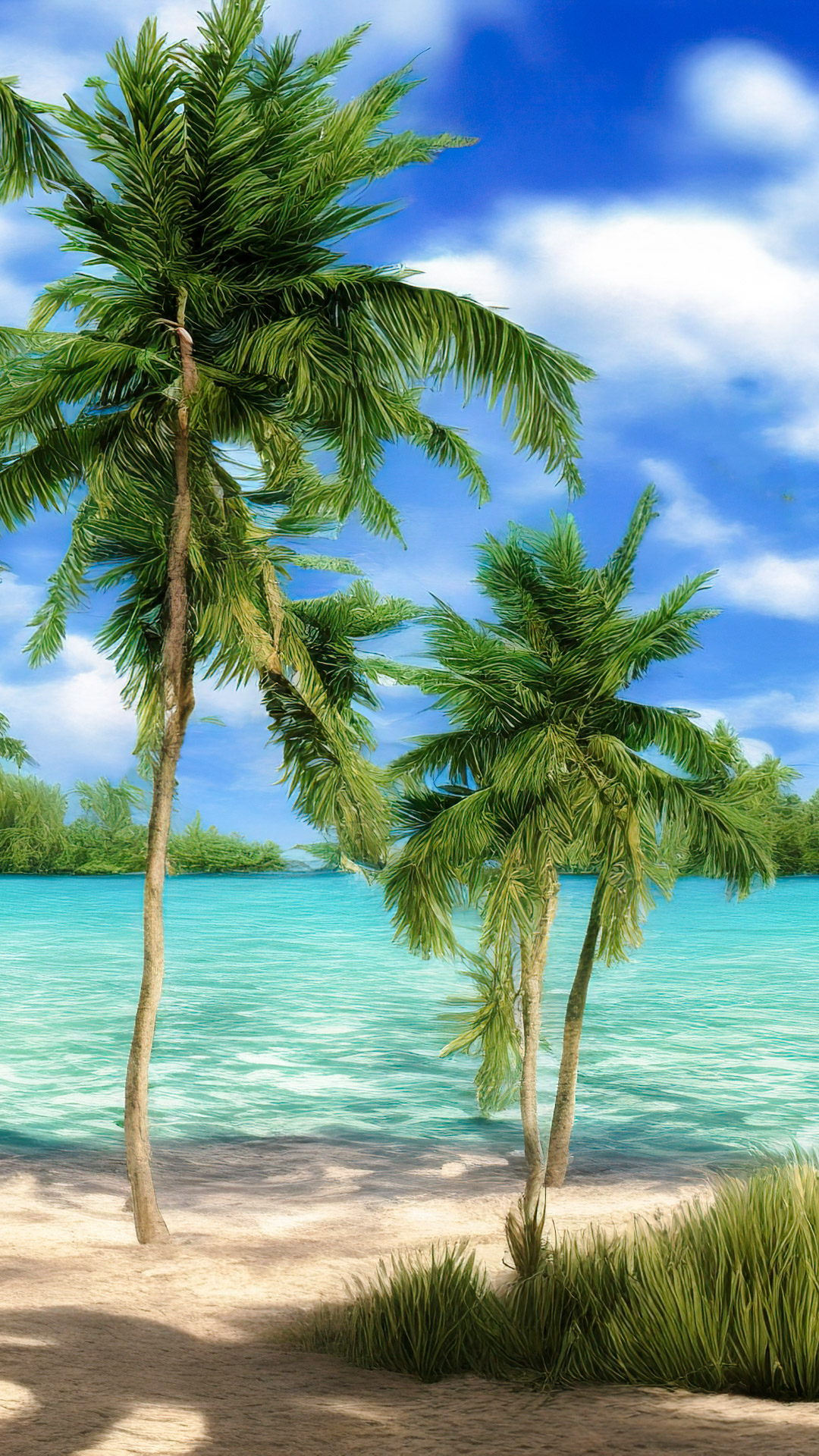 Vivez la tranquillité de nos arrière-plans de nature cool, présentant une plage tranquille avec des eaux turquoise cristallines et des palmiers se balançant dans la brise.